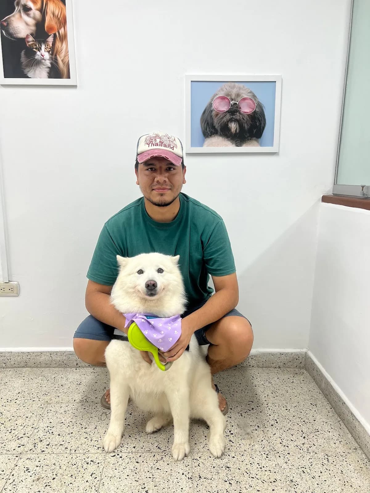 PATIT`S VET clìnica veterinaria