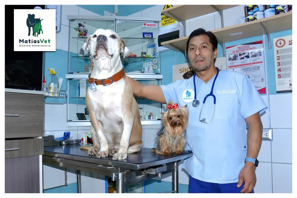 MATIAS´ VET