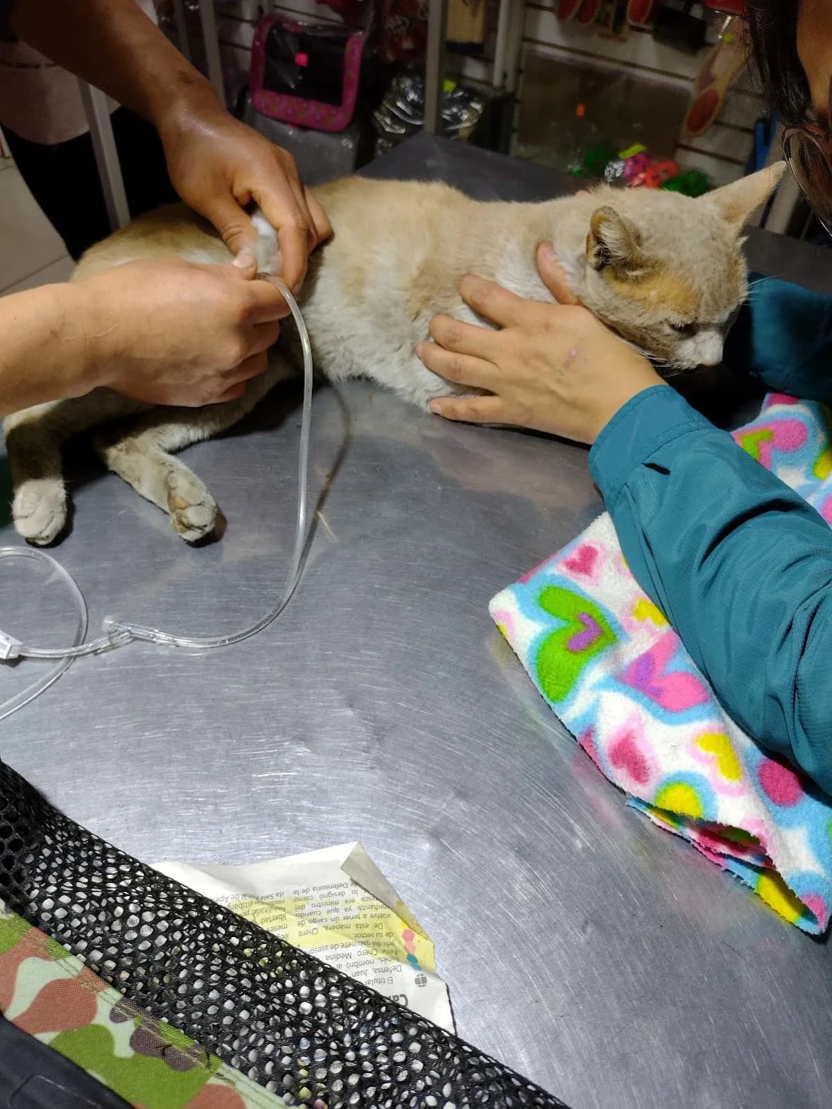 Centro Veterinario Santa Rita