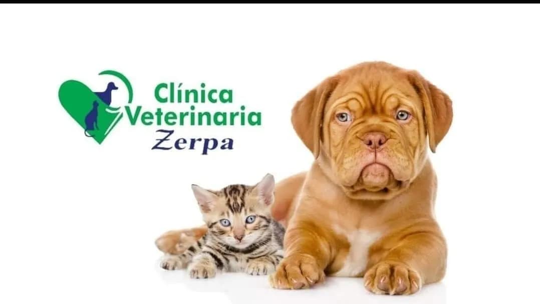 CLINICA VETERINARIA ZERPA- SEDE LOS PINOS