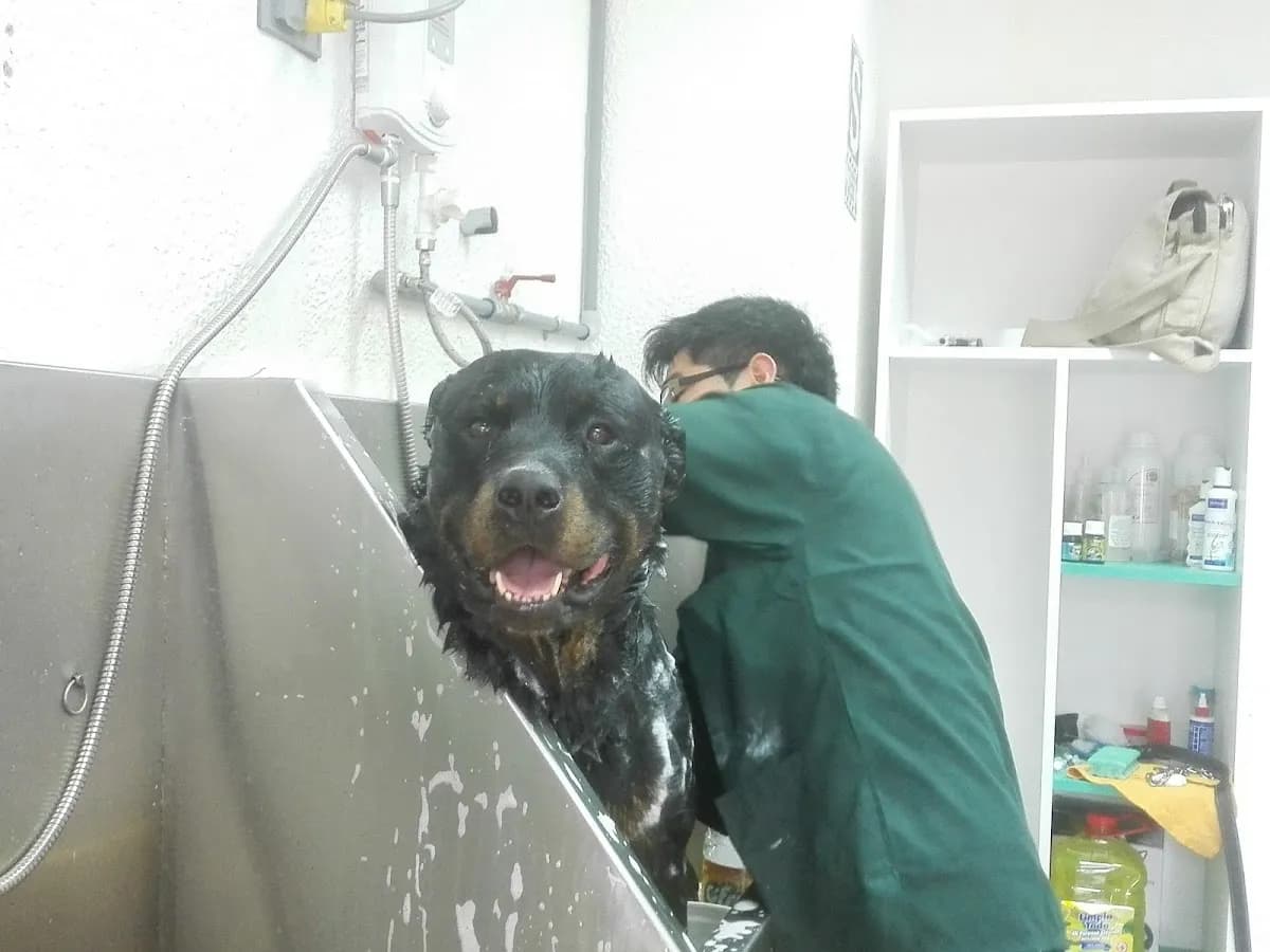 Villa Mascota Veterinaria