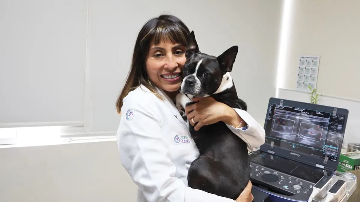 PRAVETZ | Grupo Rubio Diagnóstico Veterinario