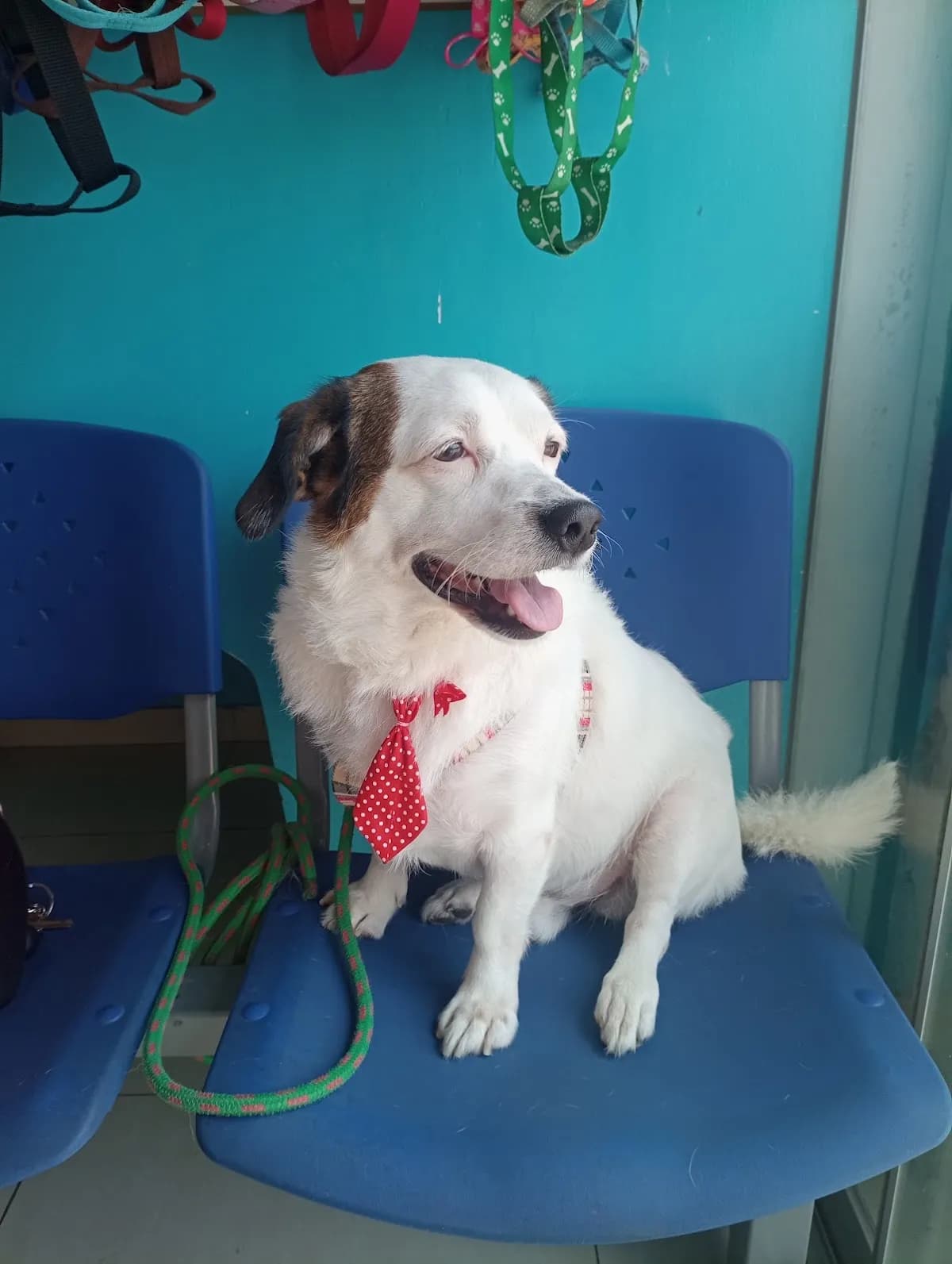 Clínica Veterinaria Canevet