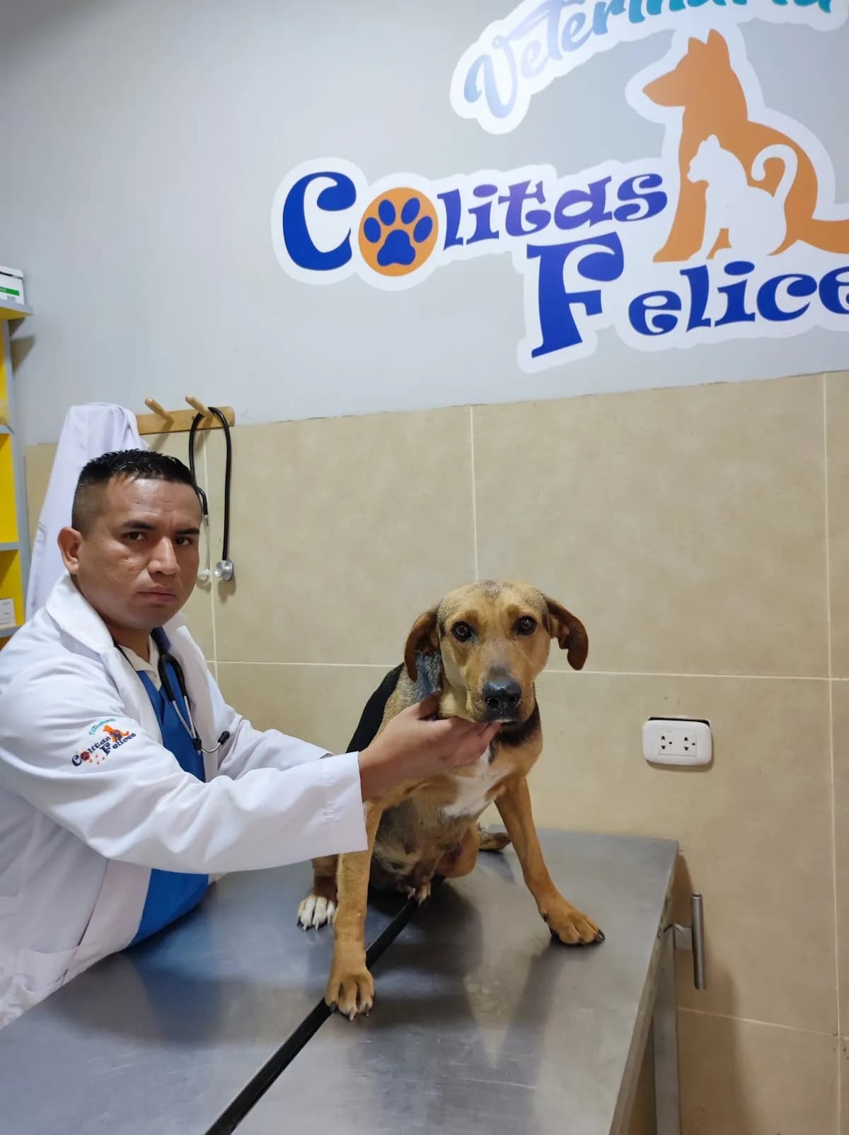 Veterinaria Colitas Felices