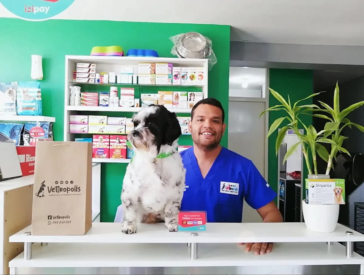 Vettropolis Consultorio Veterinario 🏻 ️