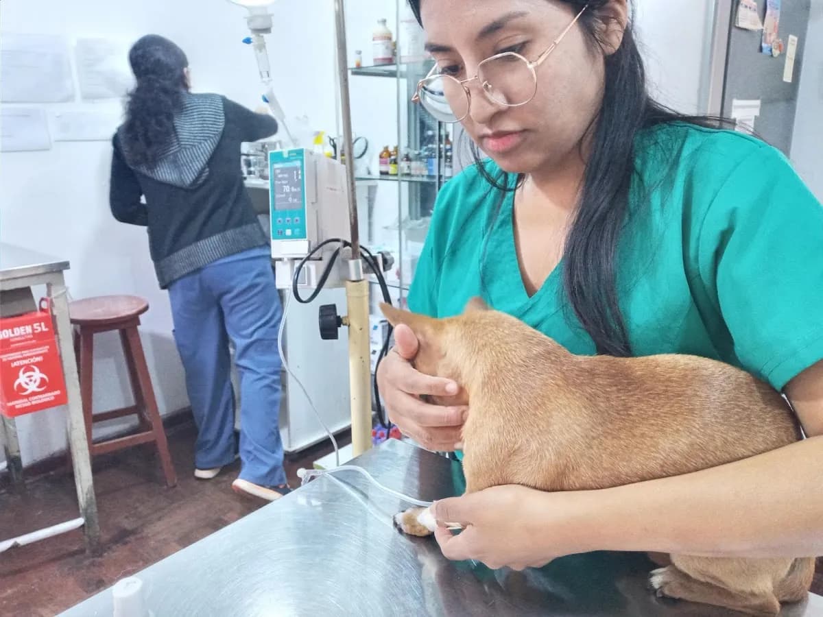 Clínica veterinaria doctor Saa