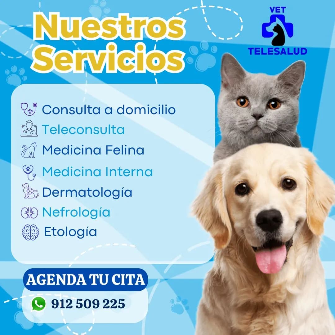 Veterinaria Vet Telesalud