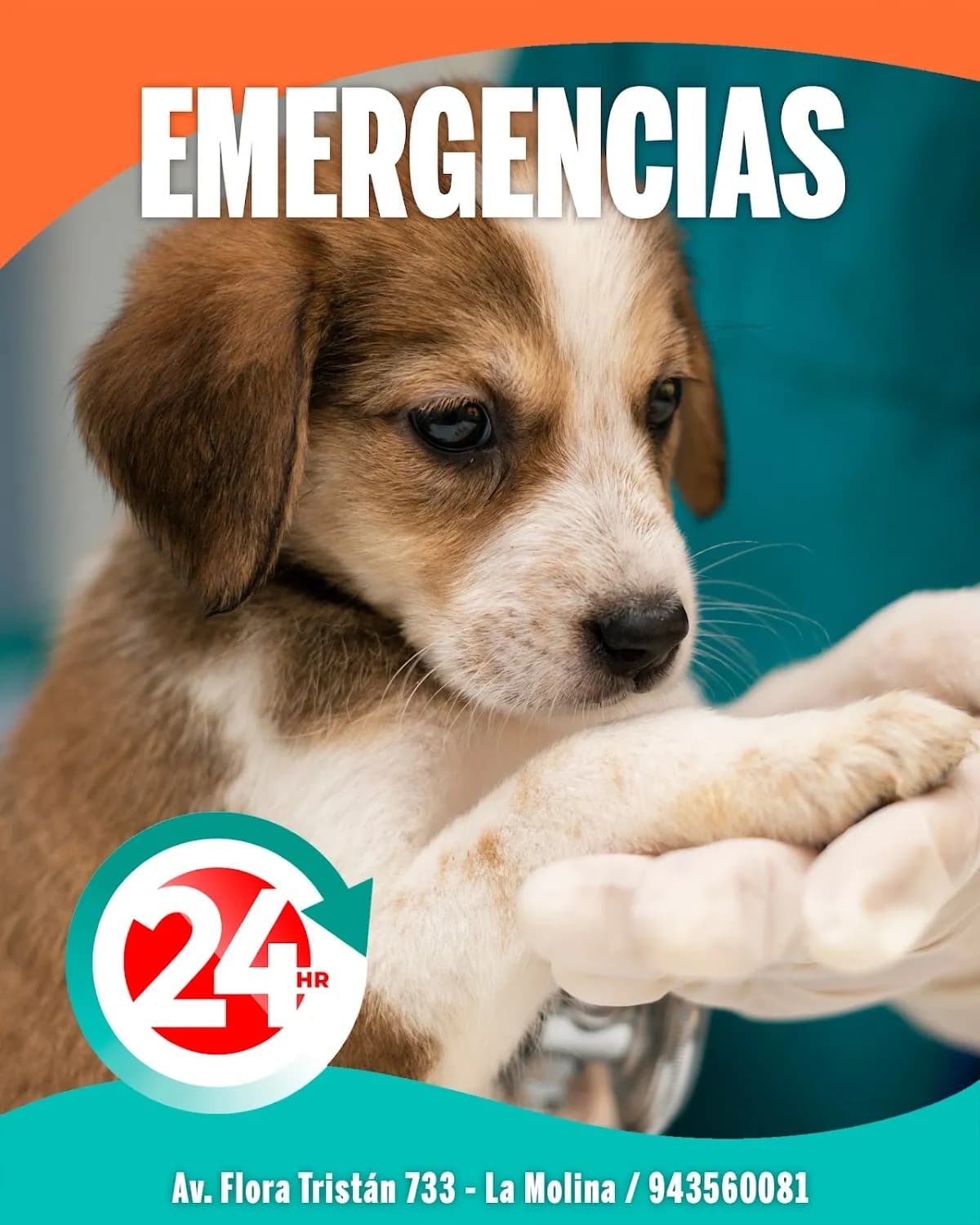 Clínica Veterinaria Auris
