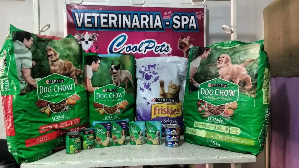 Cool Pets veterinaria - spa