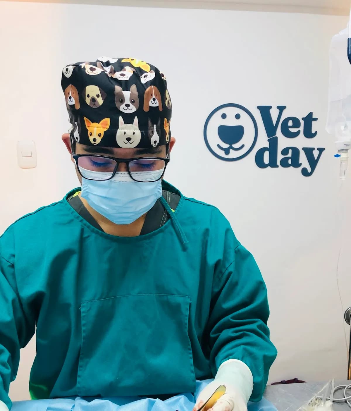 Vetday EMERGENCIA VETERINARIA