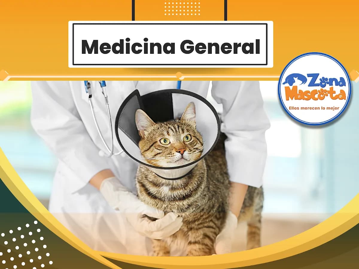 Veterinaria Zona Mascota