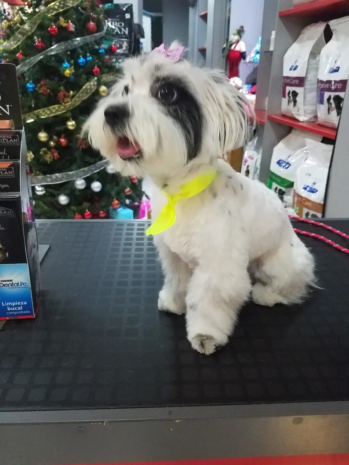 Clínica Veterinaria Pet Center - San Borja