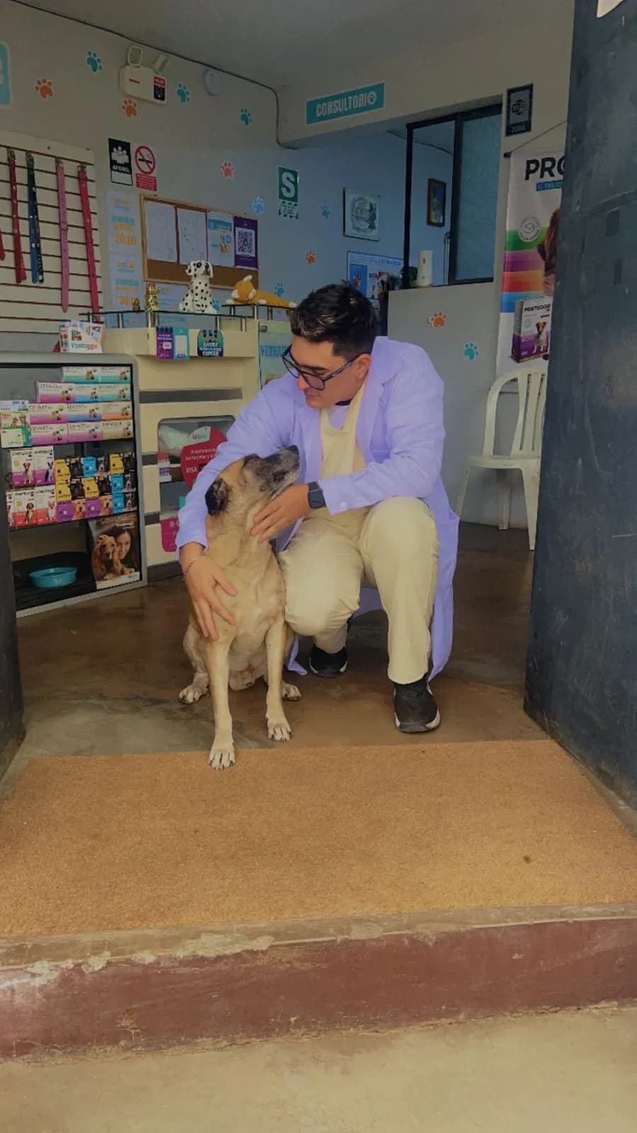 ROKAT VETERINARIA