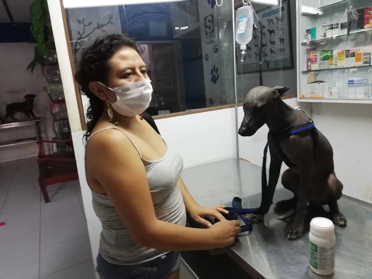SAFARI blue Veterinaria