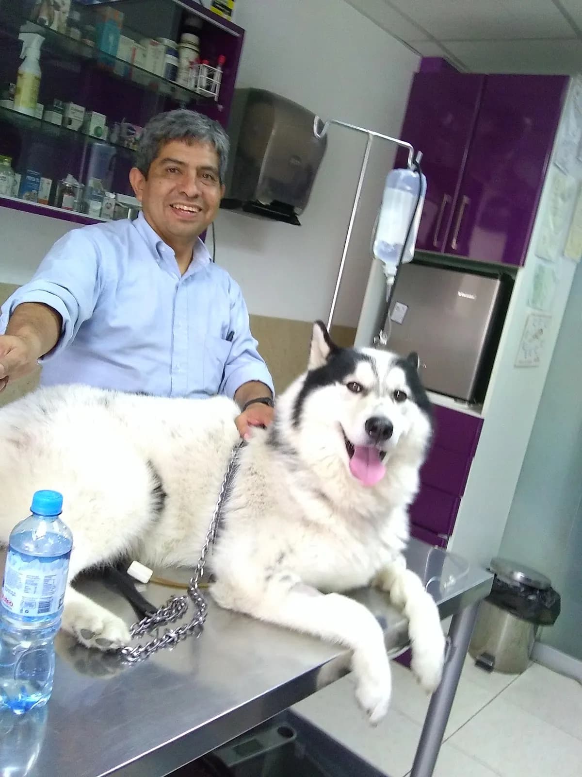 Roka CLÍNICA VETERINARIA