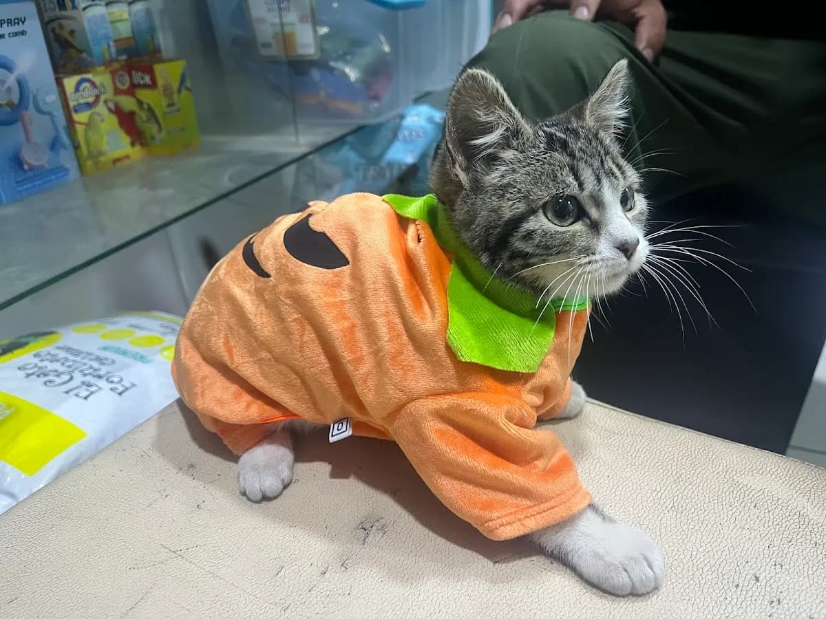 Clínica Veterinaria Goofy