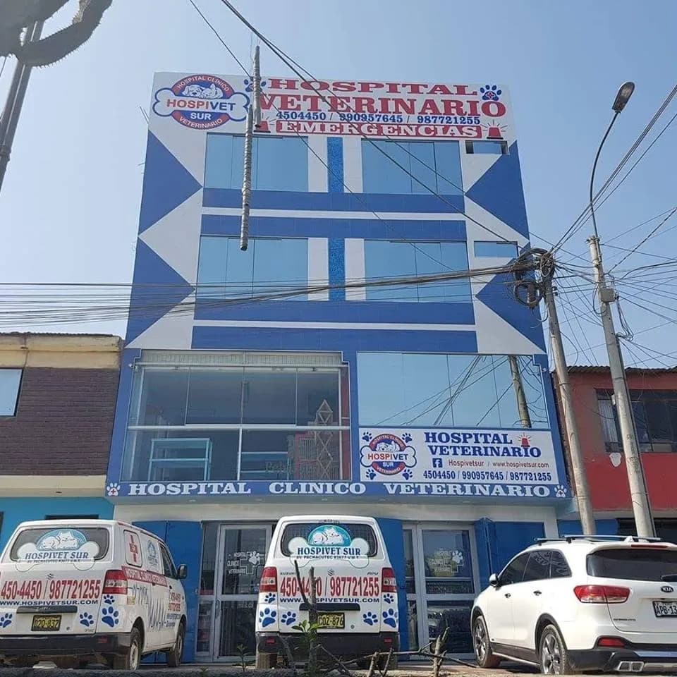 VETERINARIA HOSPIVET SUR