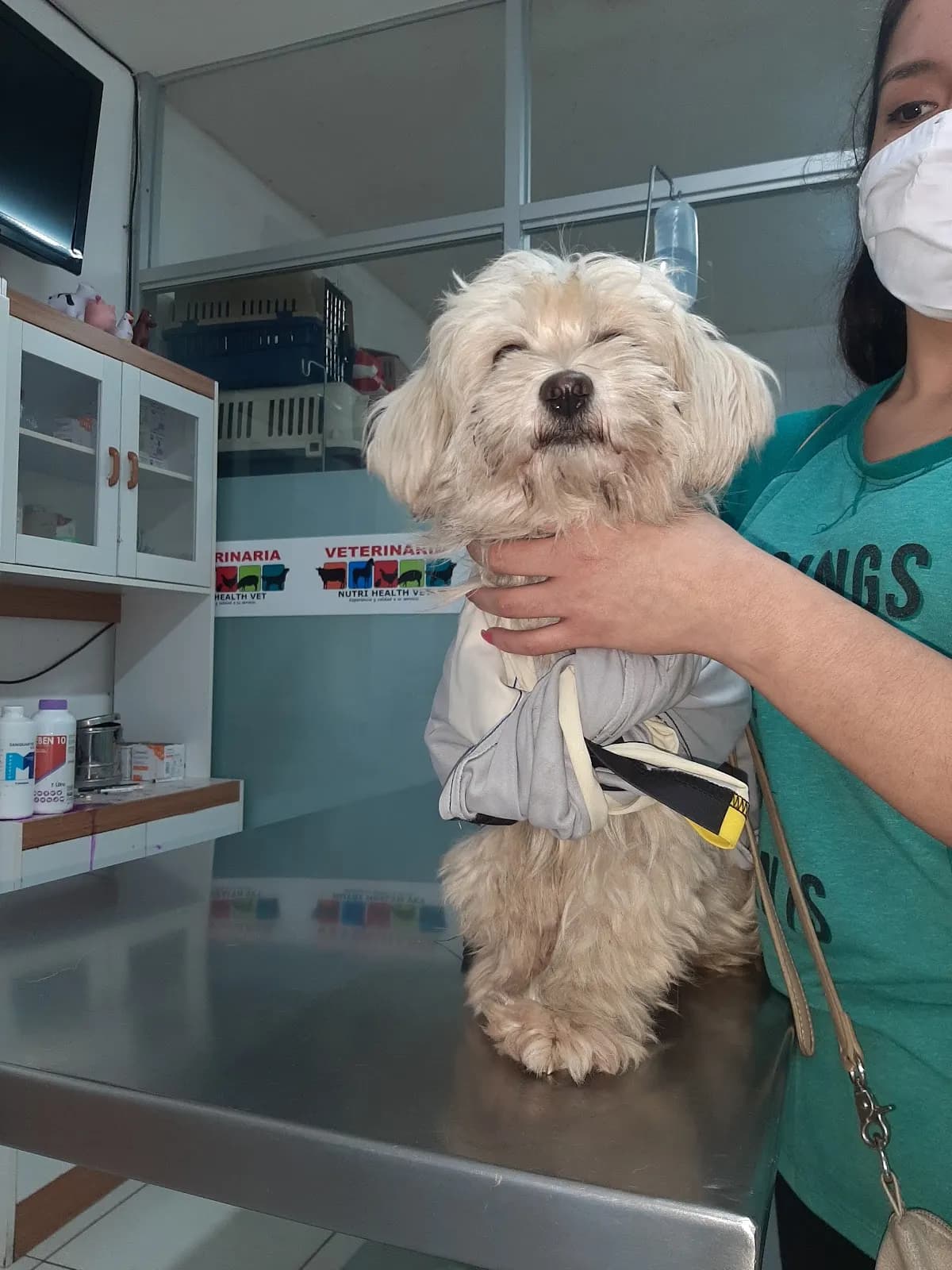 VETERINARIA Nutri Health Vet
