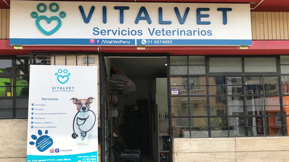 VitalVet Servicios Veterinarios