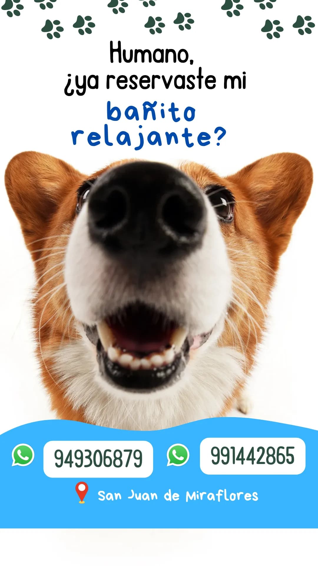Veterinaria Family Dogtor