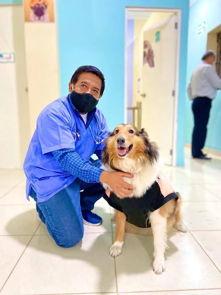 Veterinaria Dr. Alpaca - sucursal 2