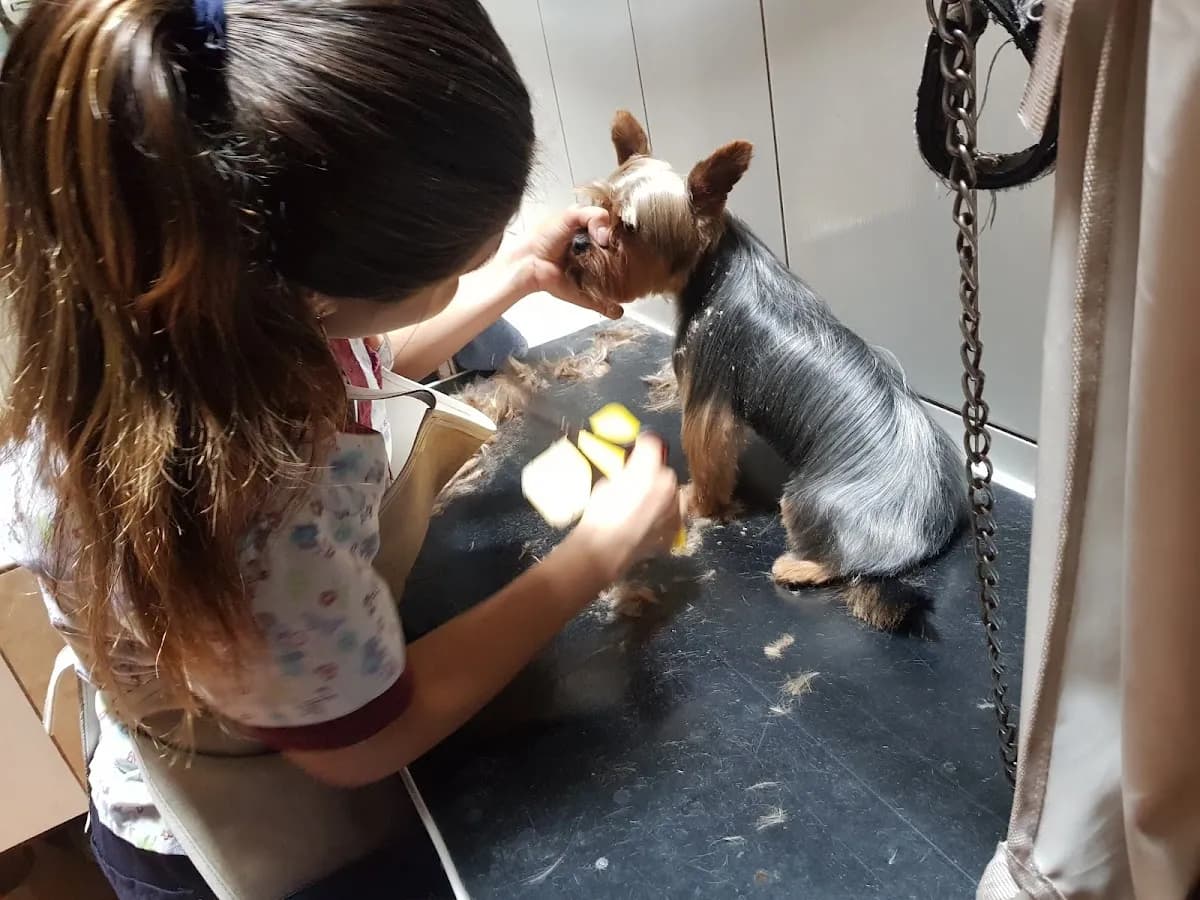 Veterinaria San Martin De Porres