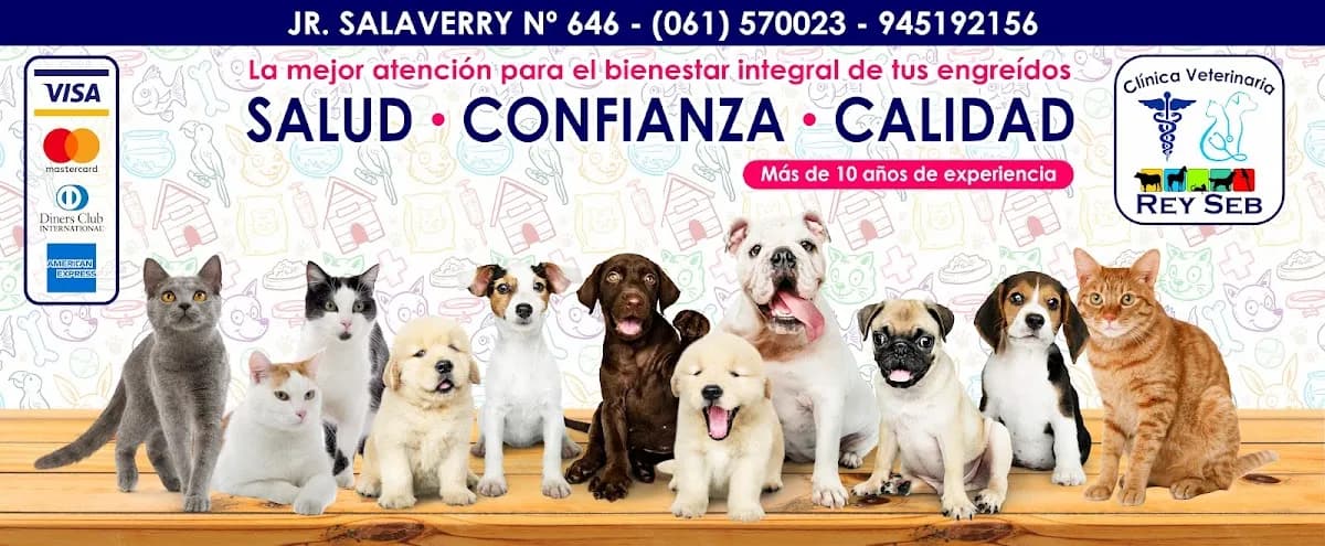 Clínica Veterinaria "REY SEB" - Pucallpa
