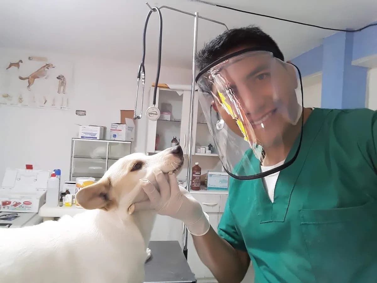 CLINIVET MARSHO