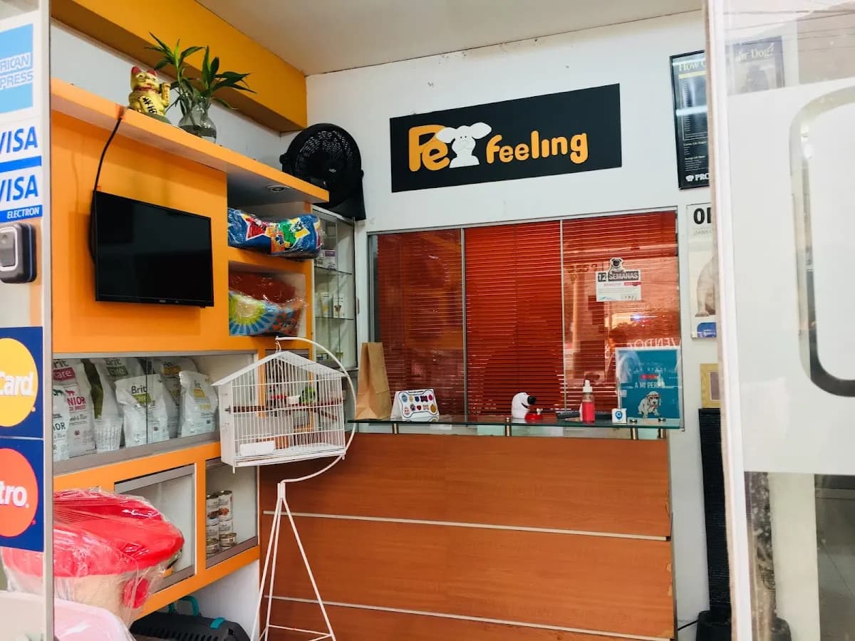 Veterinaria Pet Feeling
