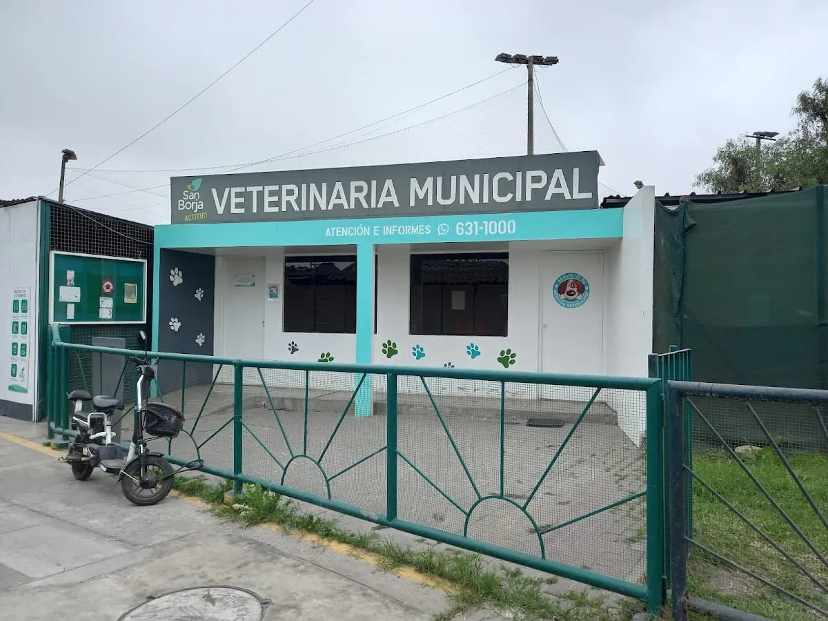 Veterinaria. Servicio de Medicina Veterinaria. Municipalidad de San Borja.