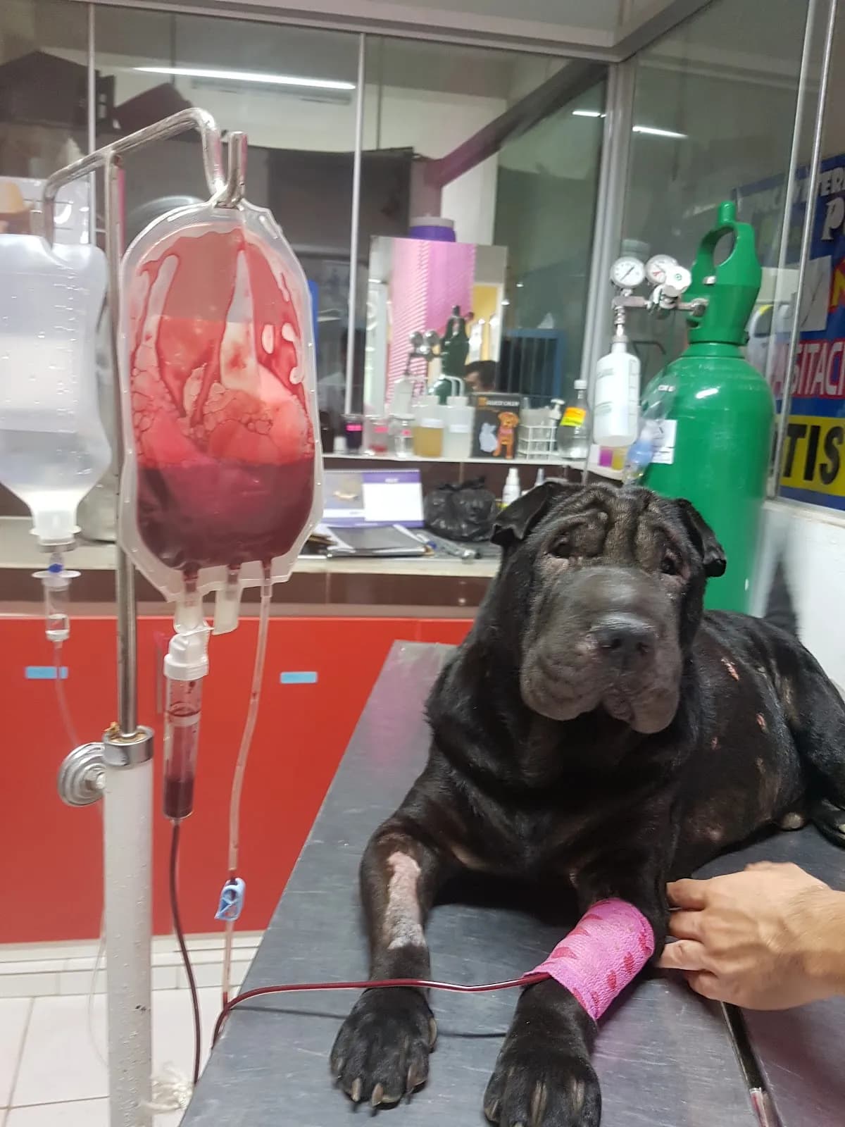 Clinica Veterinaria D' Pocas Pulgas