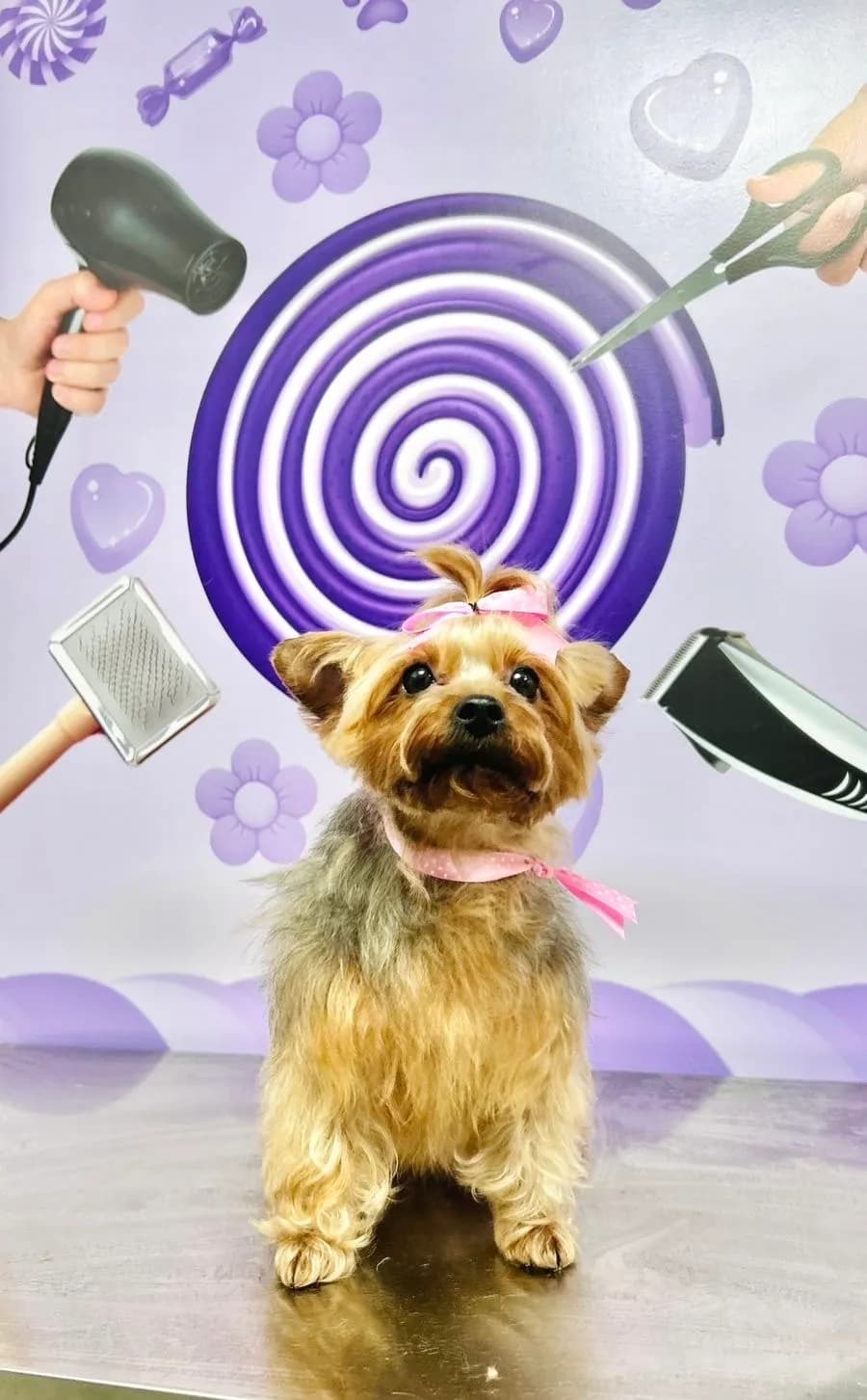 Puppy Center – Veterinaria, Grooming y Pet Shop Surquillo
