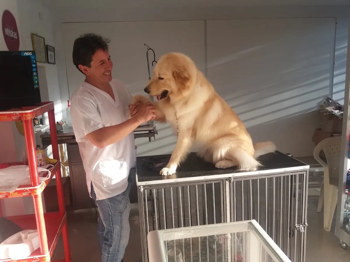 TONYVET & SPA - CLÍNICA VETERINARIA