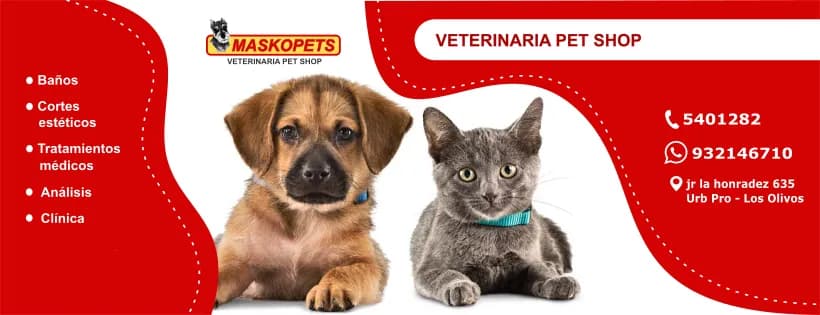 Veterinaria Maskopets