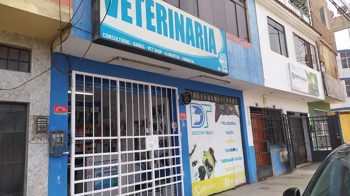 Servicio veterinaria paja Doctor Teddy