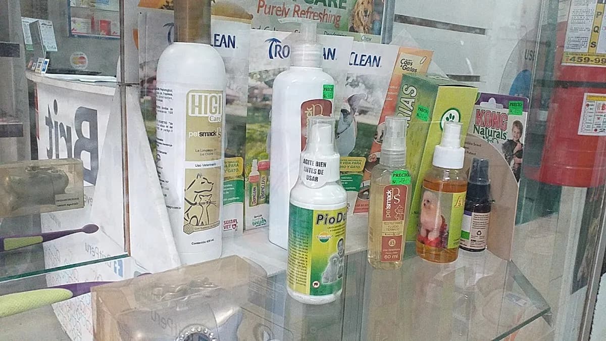 San Vet Clínica Veterinaria