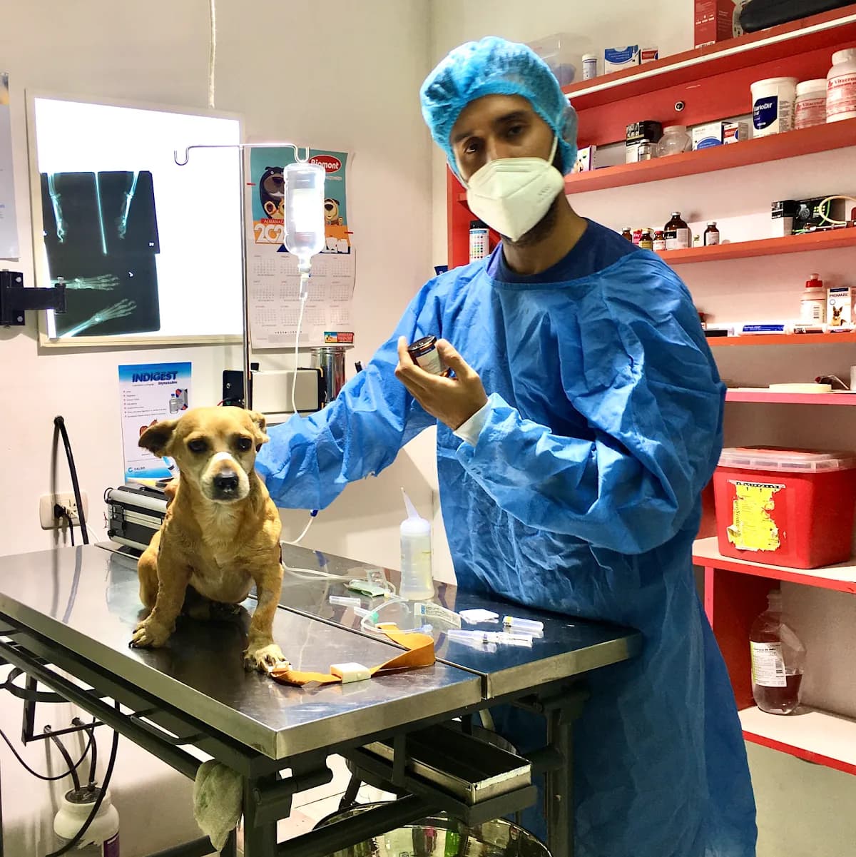 emergencias veterinarias los olivos