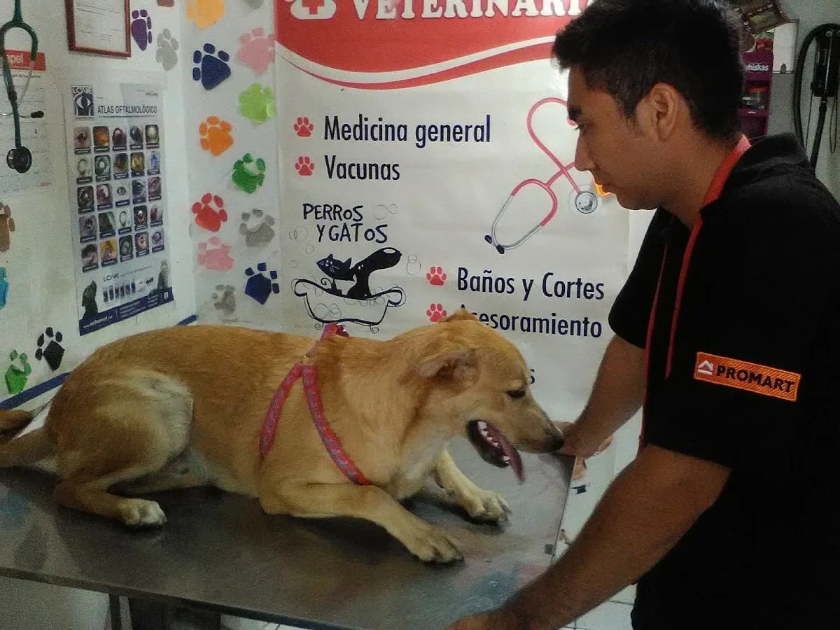 Inversiones Agro Veterinarias Trujillo SAC