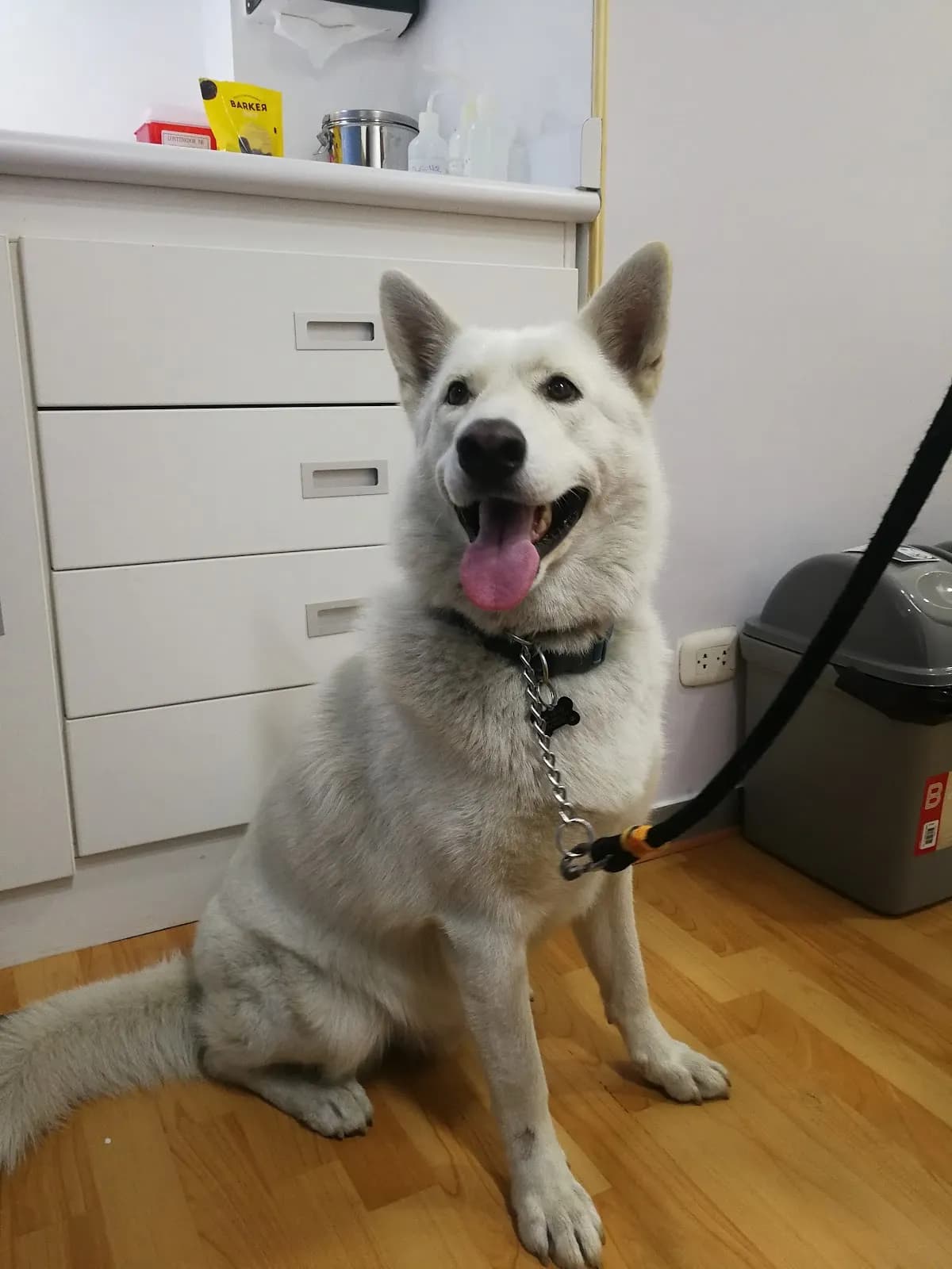 Clínica Veterinaria Groomers La Molina