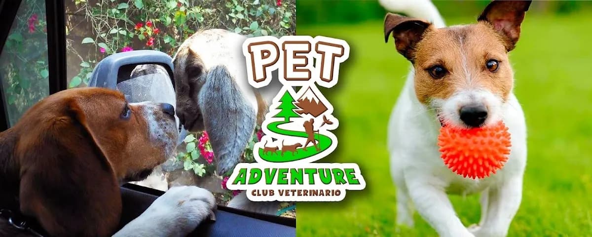 PET ADVENTURE CLUB VETERINARIO / EMERGENCIAS