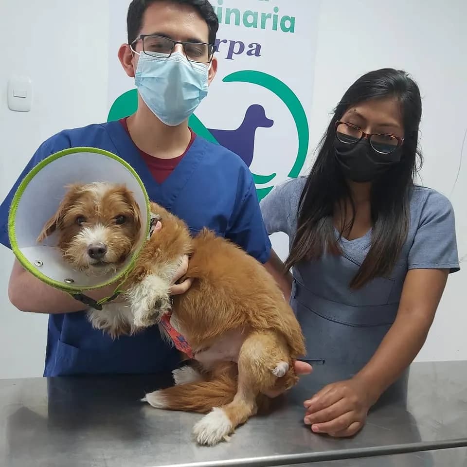 VETERINARIA ZERPA SEDE CANTO GRANDE