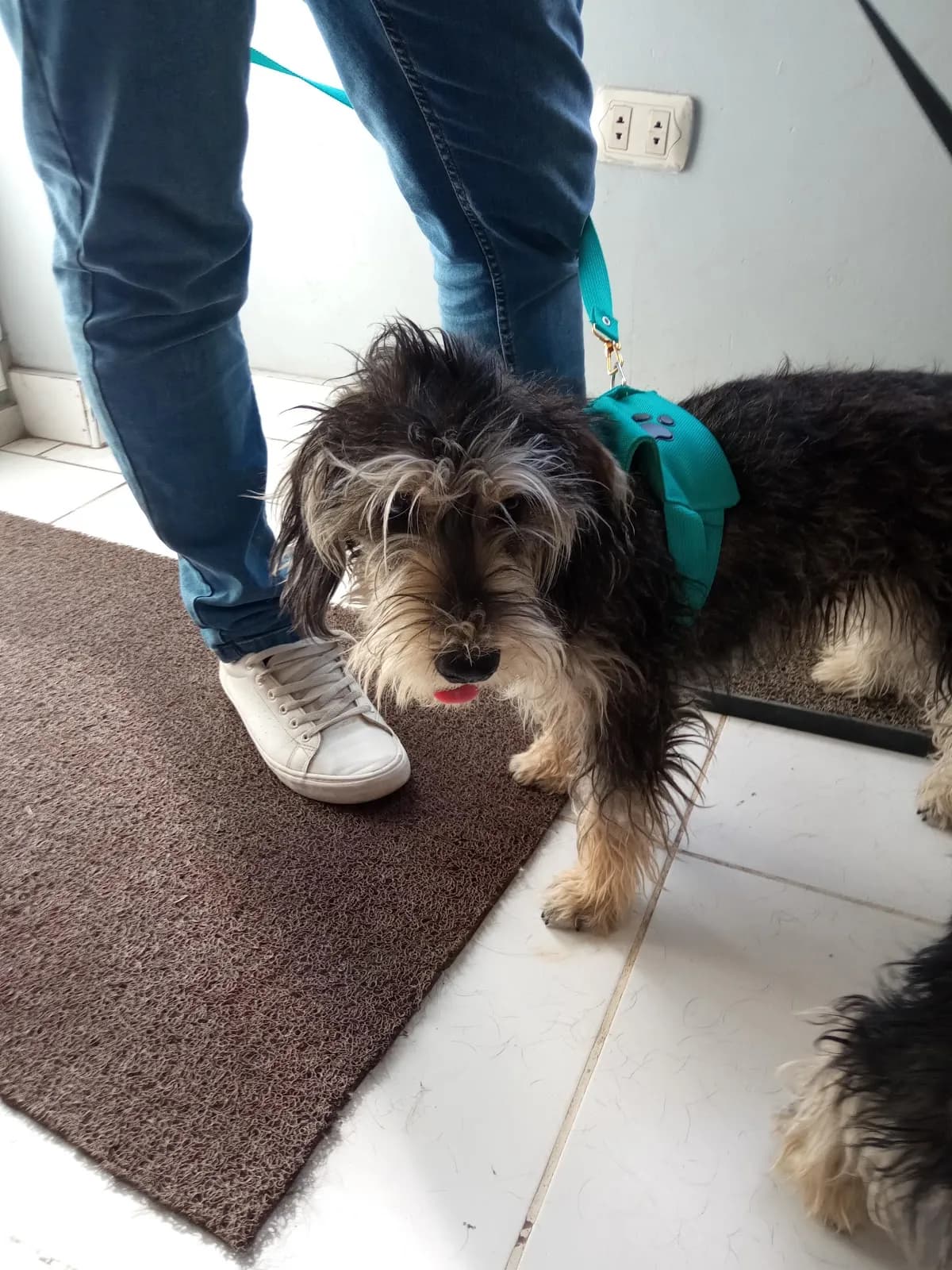 Clínica Veterinaria San Francisco de Asís