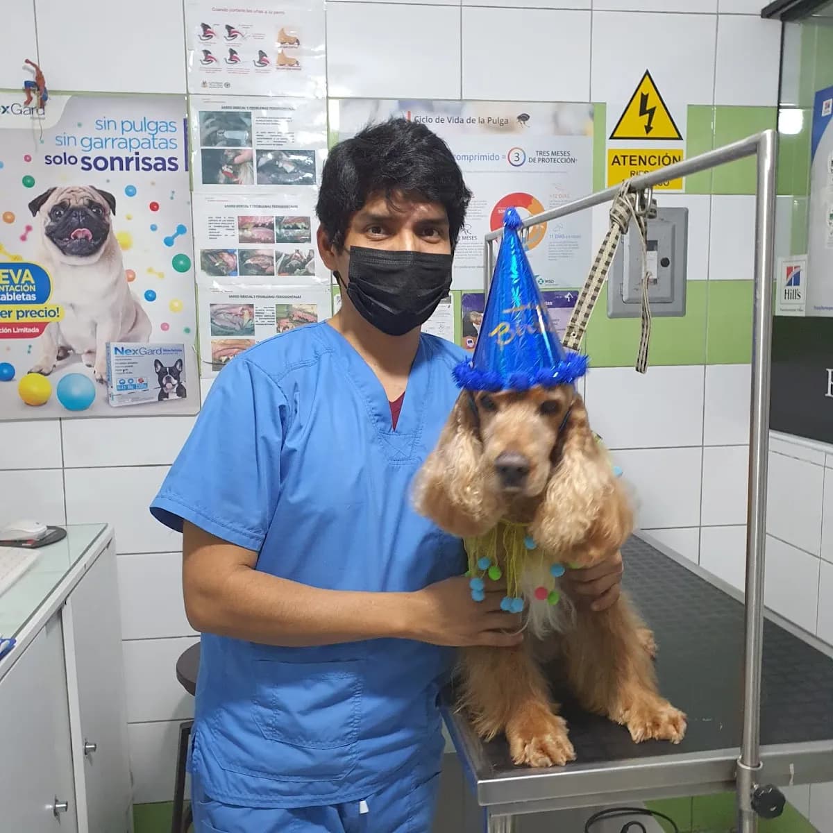 Veterinaria mis Animalitos
