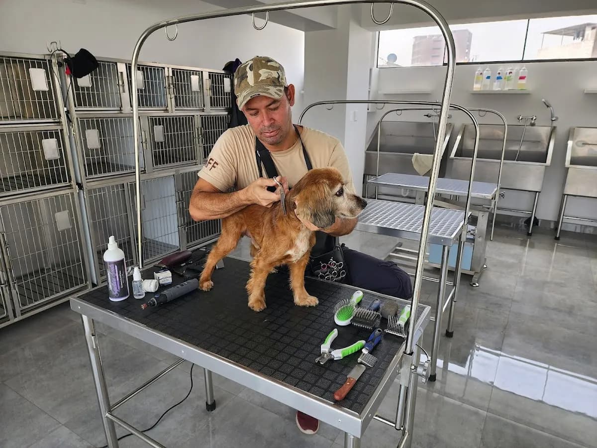 La Casa de Duke y Lola - Hospedaje para perros