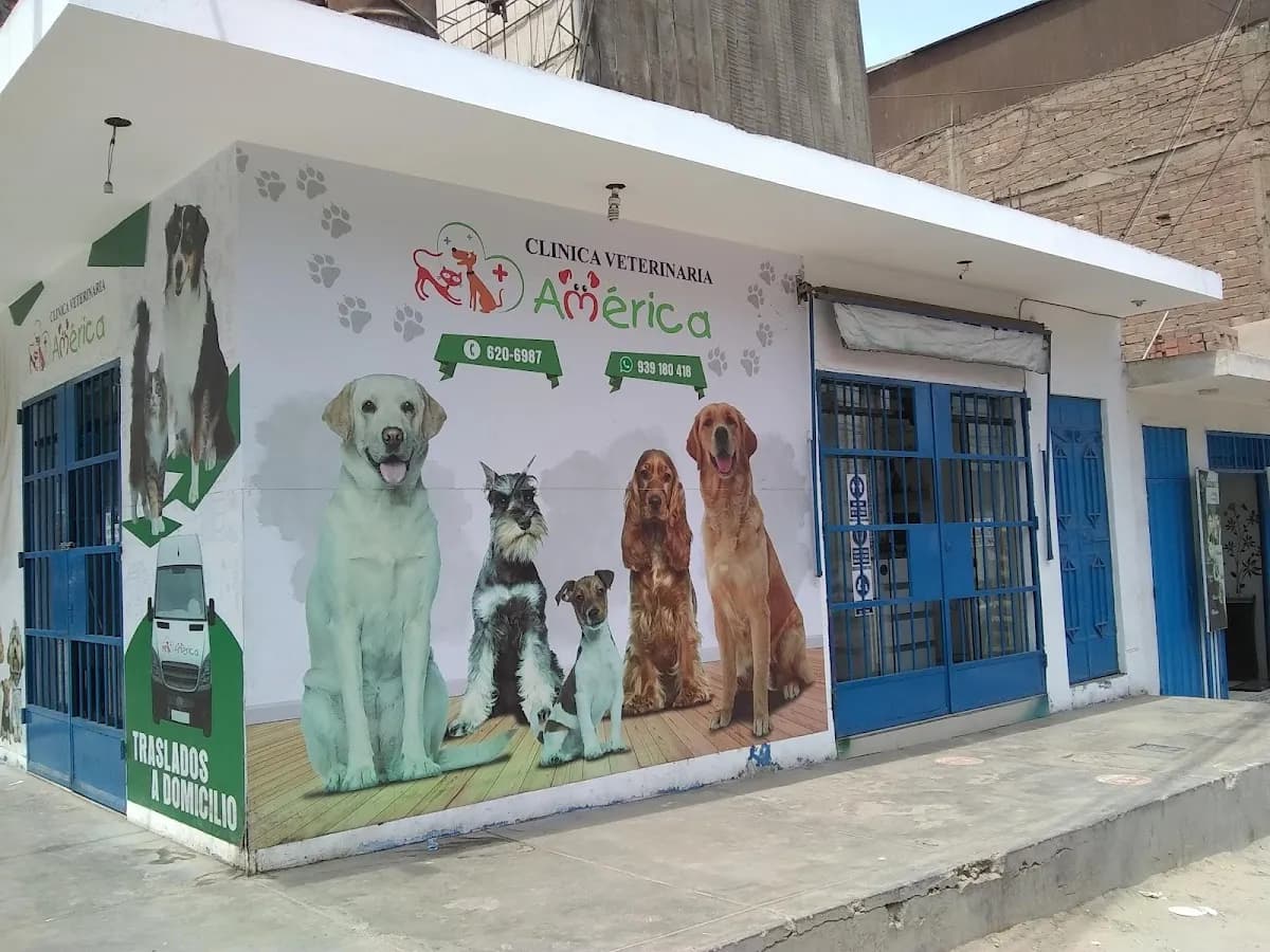 VETERINARIA AMERICA SEDE CANTO REY