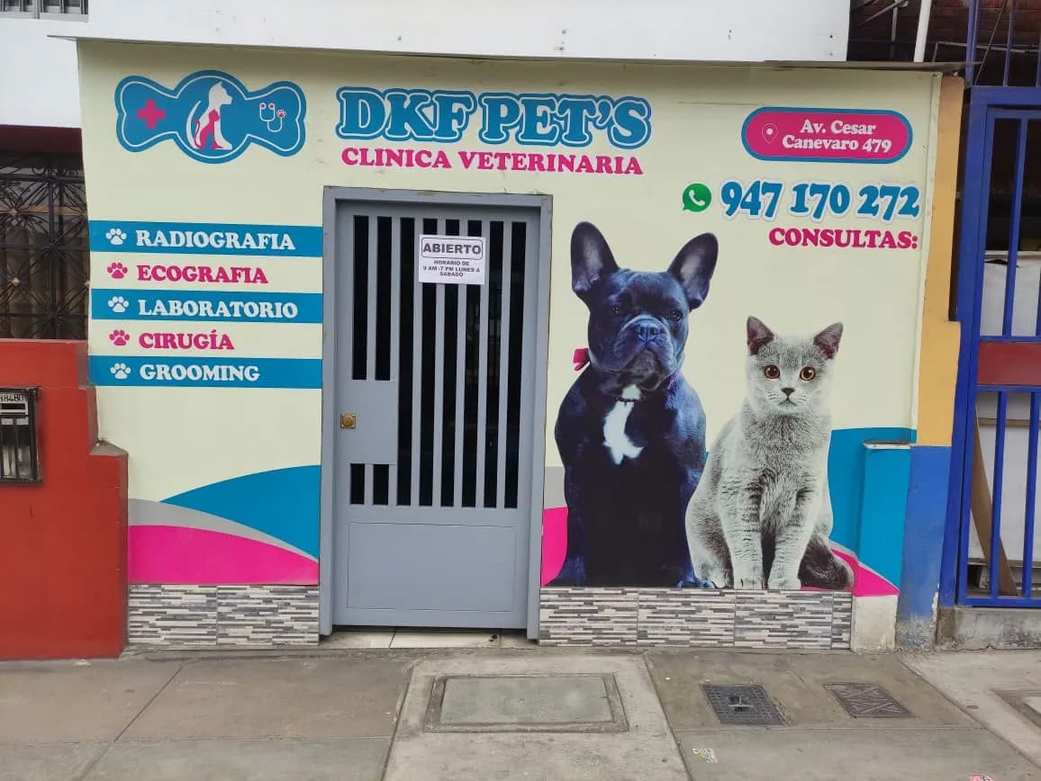 DKF Pet's Veterinaria - Sede SJM