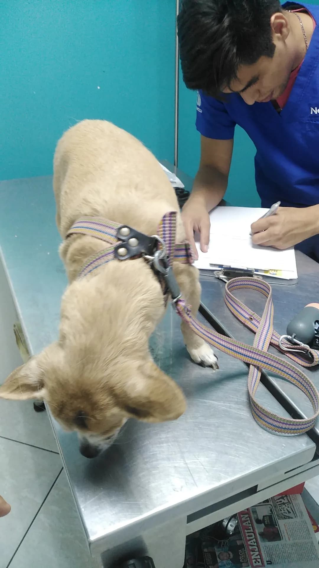 Clinica Veterinaria De La Torre