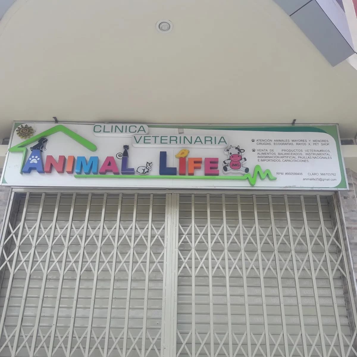 Animal Life