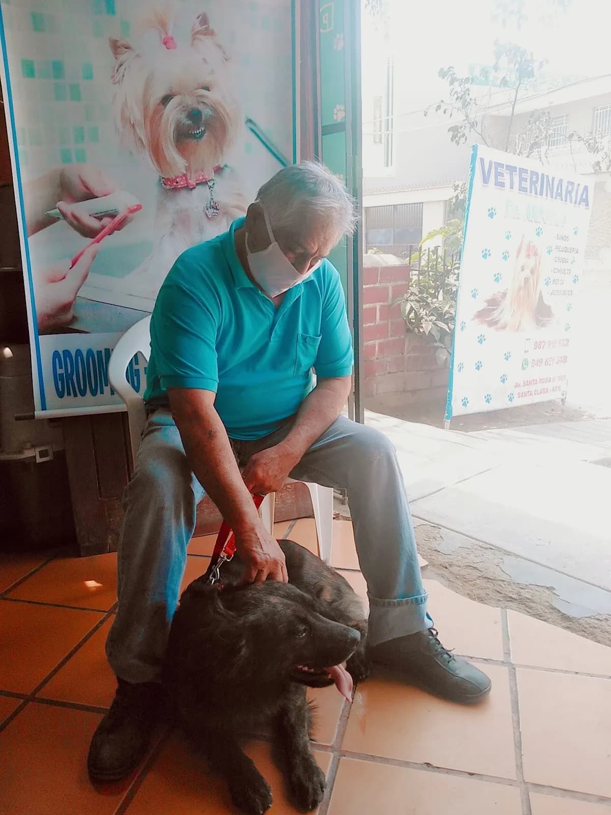 Veterinaria Arnold