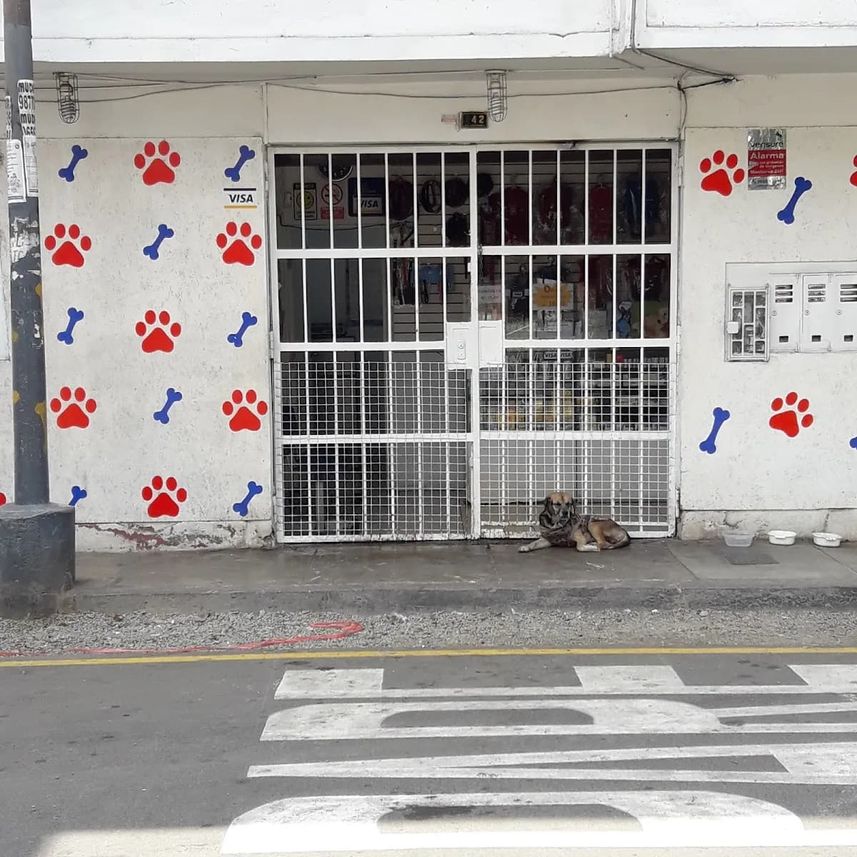Veterinaria Dueñas